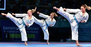 Shotokan karate