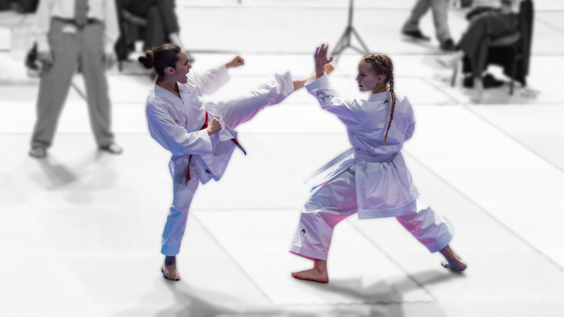 Shotokan karate